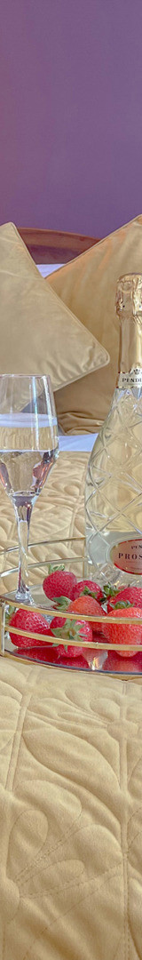 serviced accommodation Christchurch interior living room with modern décor